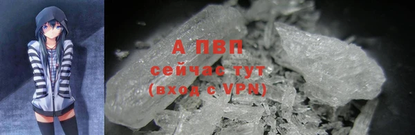 шишки Покачи