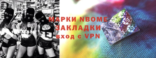 шишки Покачи