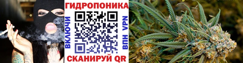 Бошки Шишки семена  Суоярви 
